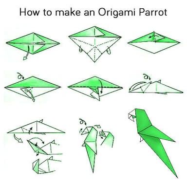 Folding an origami parrot