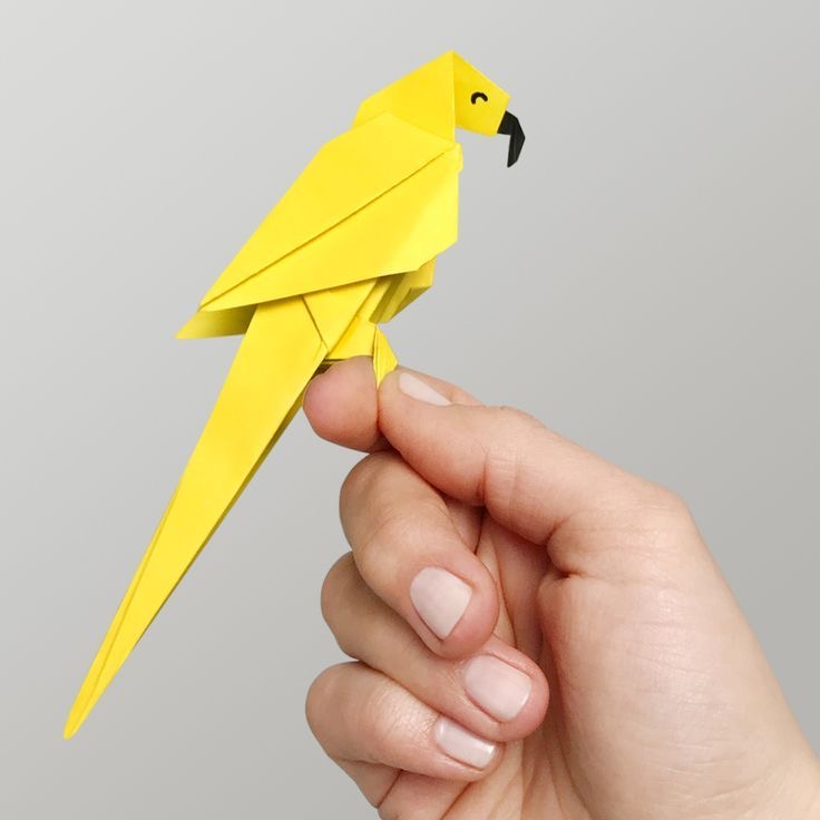 Origami parrot