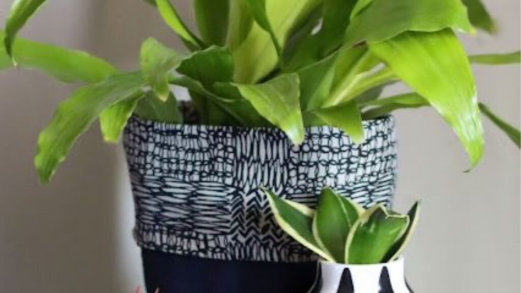 A Dollar Store Pots draped in Fabric