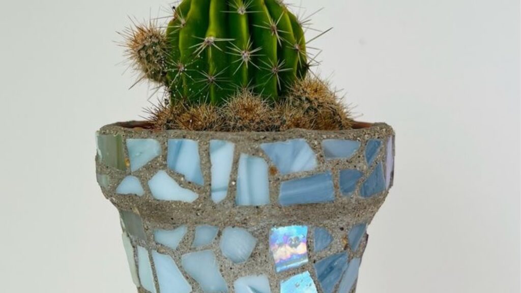 A dollar store pot embellish with mosaic tiles