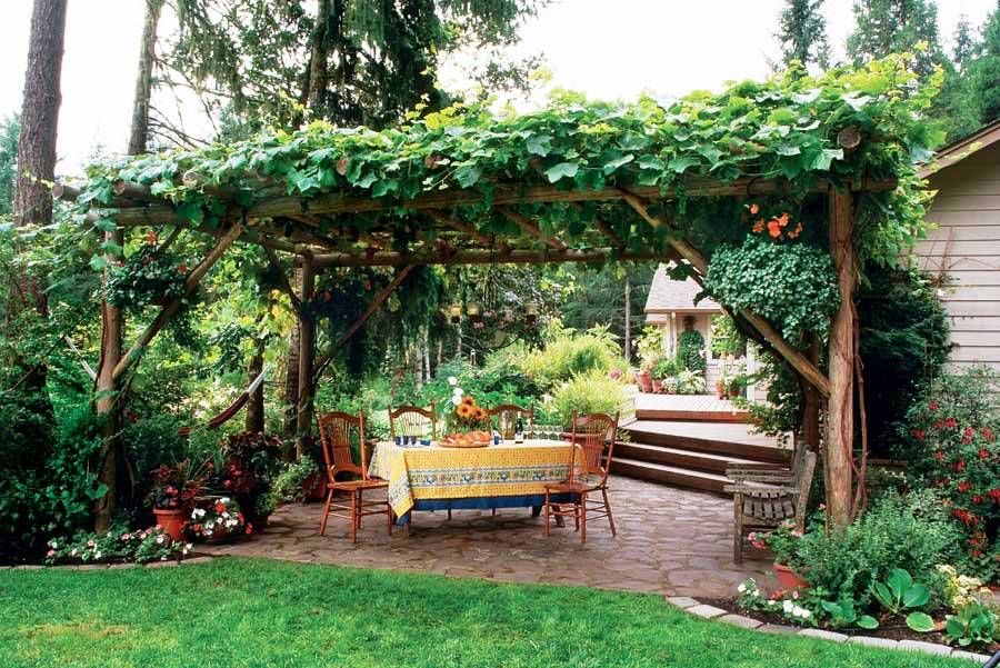 Grape arbor