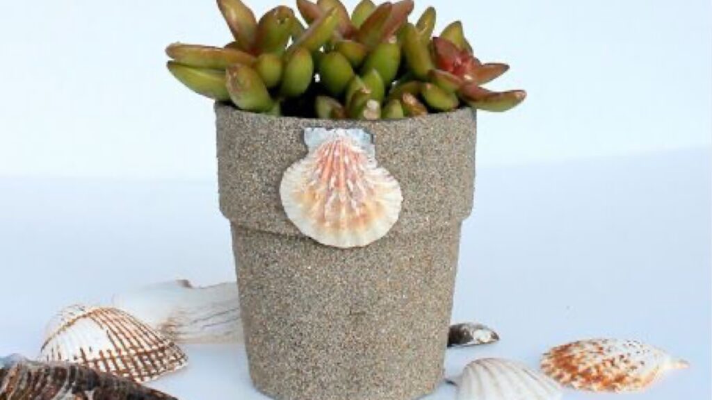 A dollar pot Layered with Sand