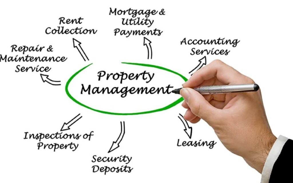 A chart showing different branches of property management