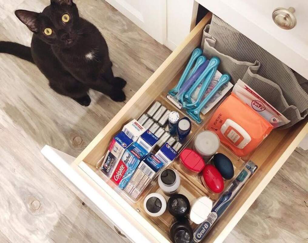 A bathroom drawer and a black cat looking on