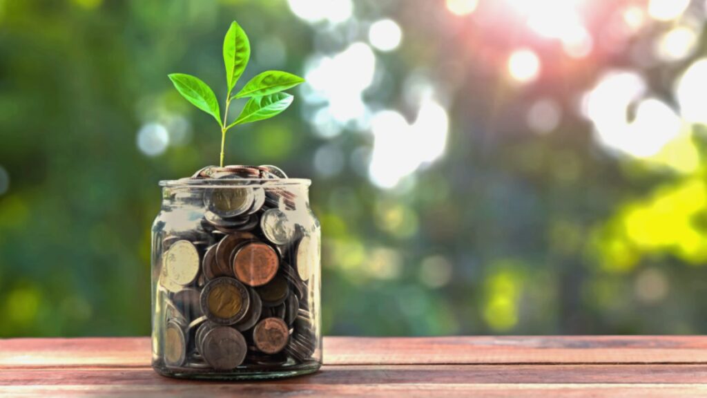 A jar of coins with a plant growing out of it