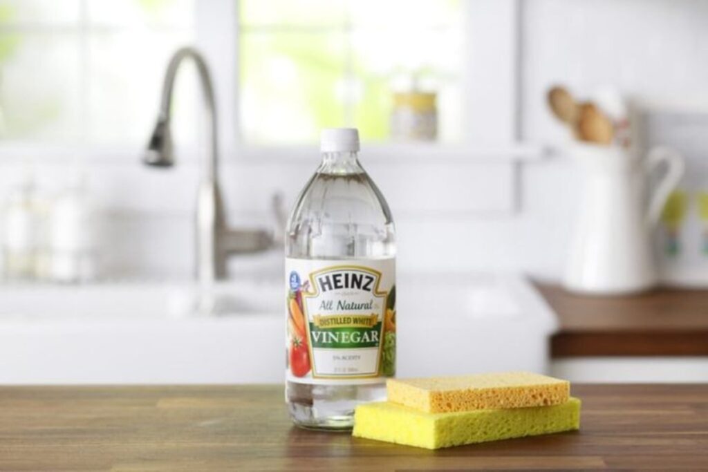 White vinegar on a kitchen countertop