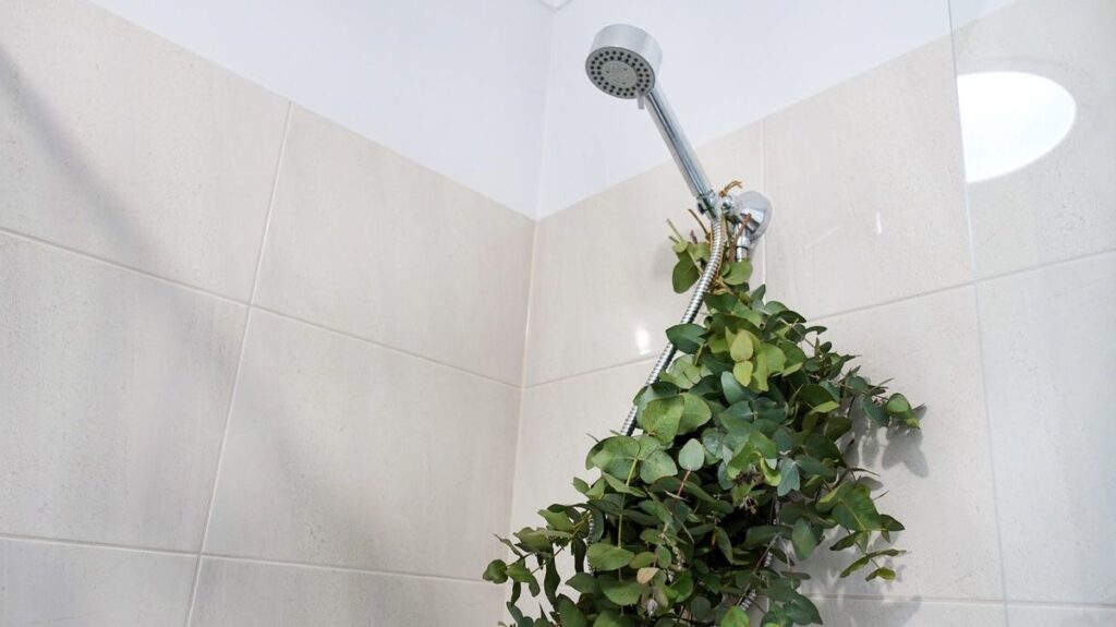 Freshen Up Your Home with Eucalyptus Bundles