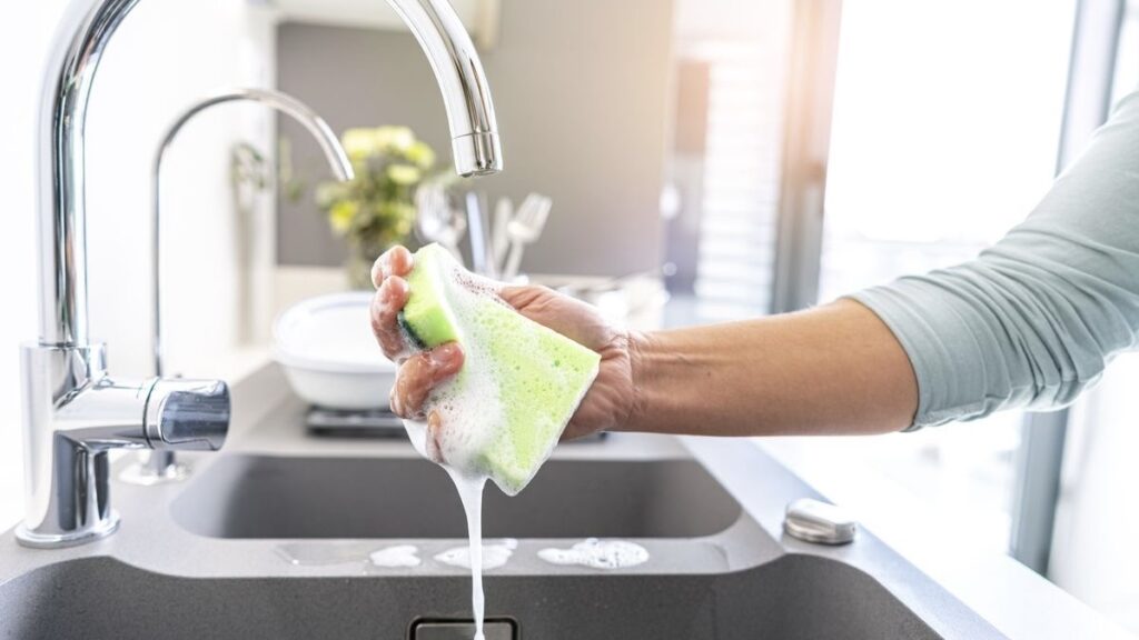 Kitchen Sponges