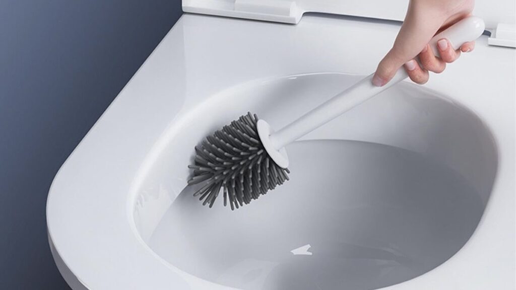 Old Toilet Brushes That Spread Germs