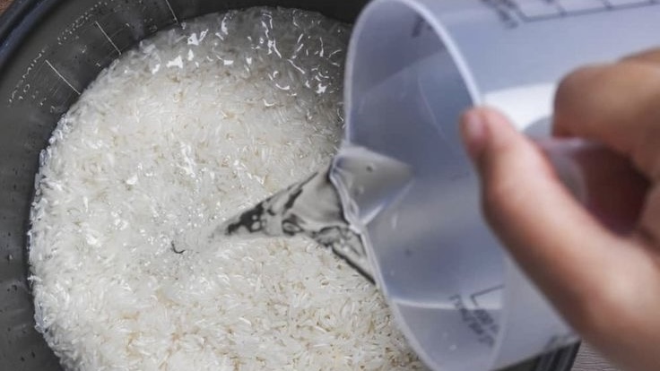 Rice to Water Ratio