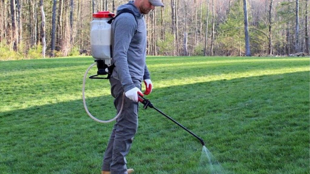 Man Applying Natural Pesticide 